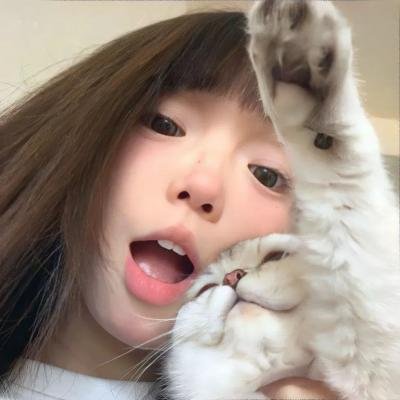 法内情大结局