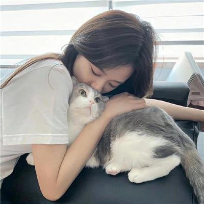 狗心